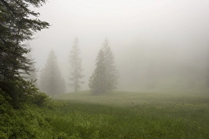 Category Mountain Landscapes Prints: Huehnermoos on a cloudy day with fog