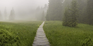Category Mountain Landscapes Prints: Huehnermoos on a cloudy day with fog
