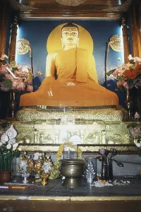 Huge gilded buddha at Mahabodhi Temple