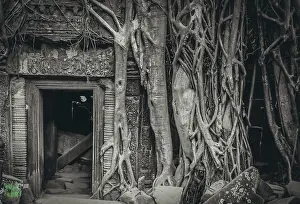 Huge tree engulfing an entrance to one of the temples in Angkor Wat complex near Siem Reap in Cambodia