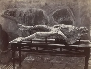 Human Cast, Pompeii, Victims of the Volcanic Eruption in 79