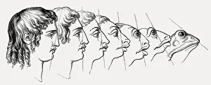 Human face changing into frog, Heads of Men and Animals Compared by Grandville