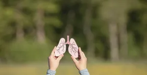 Framed Print : Human lung in front of forest, trees for fresh healthy breathing air