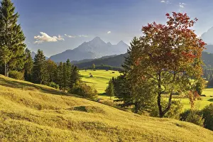 Category Mountain Landscapes Prints: Hummock meadows between Mittenwald and Kruen