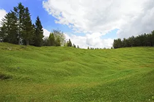 Hump meadows at Kranzberg, Karwendel Mountains