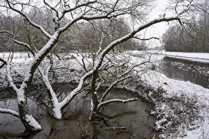 Hunte in winter with snow, Barnstorf