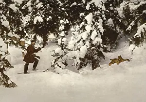 Hunter finds a lynx caught in a beating trap