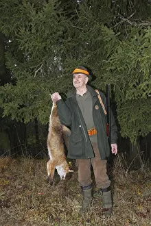 Hunter with a red fox (Vulpes vulpes) shot during a hunt for brown hares (Lepus europaeus) Lower Austria