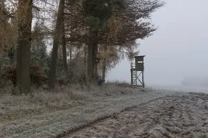 Hunter's blind at the edge of the forest in morning fog