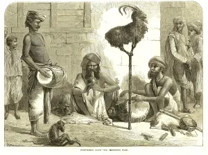 Hunting & animal views, performing goat, India, As ia
