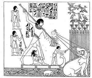 Hunting hippos in ancient Egypt