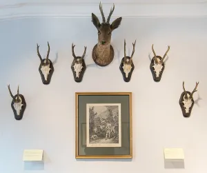 Hunting lodge Clemenswerth, Sogel