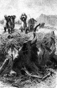 Hunting the mammoth with bow and arrow, heavy stones, deep cave, hunters with thick fur coats, history of mankind, Northern Europe, historical illustration 1880