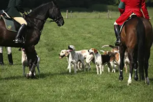 Hunting pack
