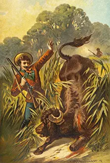 Hunting scene in Romania, picture of a fairy tale
