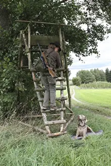 Huntress mounts open high seat