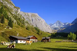 Huteralmen with Grossglockner, Hohe Tauern