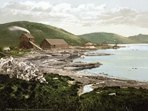 Hvalfanger Station, whaling station in Tufjord
