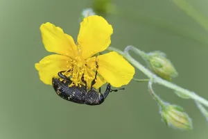 iblgva09798419.jpg