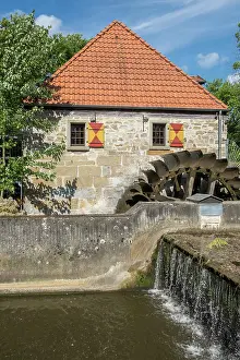 ibxann13796824