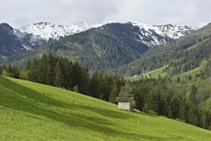 ibxcgh00003277.jpg