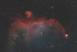 IC2177, NGC2235, NGC2327, Seagull Nebula