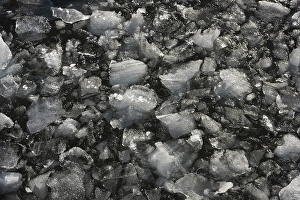 Category Scandinavia Prints: Ice floats in the sea, Kronebreen