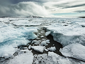 Category Scandinavia Prints: Ice floes, drifting ice, fjord with pack ice
