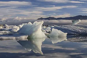 Ice floes, icebergs, reflection