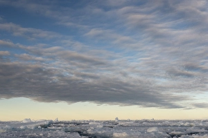 Category Scandinavia Prints: Ice floes, pack ice, Arctic Ocean