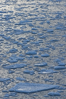 Ice floes, pack ice, Arctic Ocean