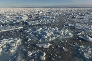 Category Scandinavia Prints: Ice floes, pack ice, Arctic Ocean