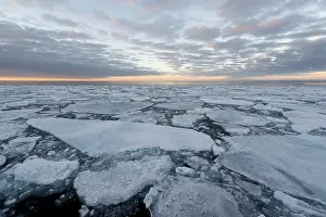 Category Scandinavia Prints: Ice floes, pack ice, evening mood