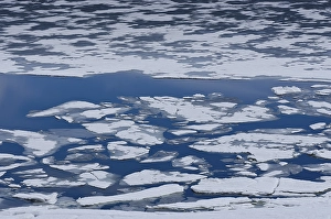 Category Scandinavia Prints: Ice on Lake Sysenvatnet, Hardangervidda mountain plateau
