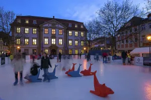 Ice skating rink in colourful evening lighting