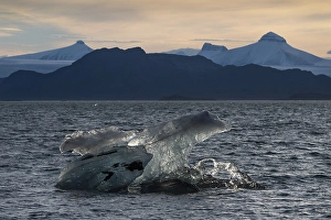 Category Scandinavia Prints: Iceberg, Kongsfjorden, Spitsbergen Archipelago