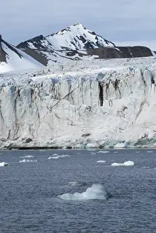 Icebergs in front of the glacier and mountains behind