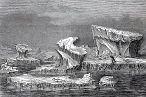 Icebergs off the coast, in 1870 of Greenland