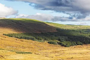 Iceland inland in autumn, green grass turning yellow