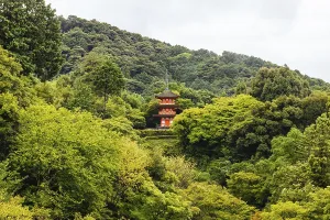 The iconic Kiyomizu-dera temple and mountain view on a sunny spring day in Kyoto