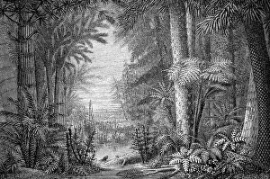 Ideal landscape from the Coal Age
