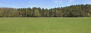 Ideal spring panoramic landscape