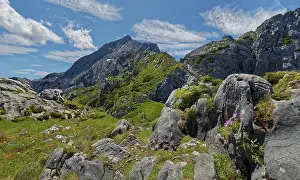 An idyllic mountain scenery with green meadows and jagged rocks under a blue sky with clouds