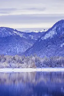 Idyllic winter landscape: Reflection lake