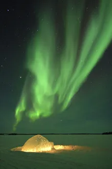 Fascination Winter - Magic Of The Northern Light Prints: Igloo and Northern Lights, Northwest Territories (Aurora borealis)