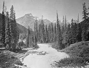 The Illicilliwaet River, also Illecillewaet River flows through forested landscape