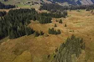 Illingeralm, Osterhorn group, Salzkammergut