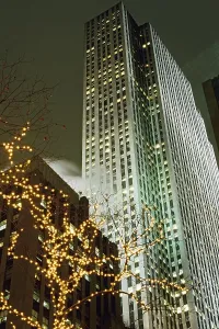 Illuminated trees in front of a skyscraper