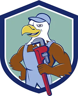 Illustration of an american bald eagle plumber wearing hat holding monkey wrench looking to the side set inside shield