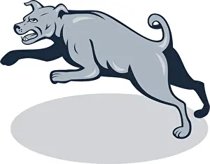 Illustration of an angry barking mastiff dog mongrel viewed from side jumping on white background done in cartoon style